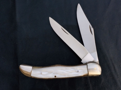 Stainless Steel Folding Knife