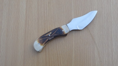 Stainless Steel Skinner Knife